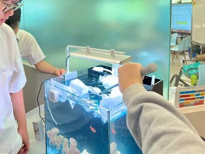 學習海洋生物知識