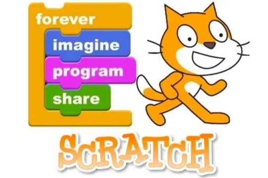 Scratch cover